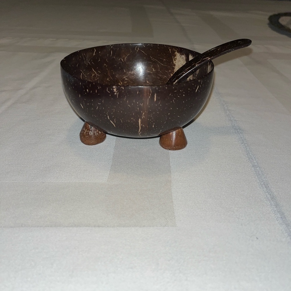 Coconut Shell Bowl with Spoon